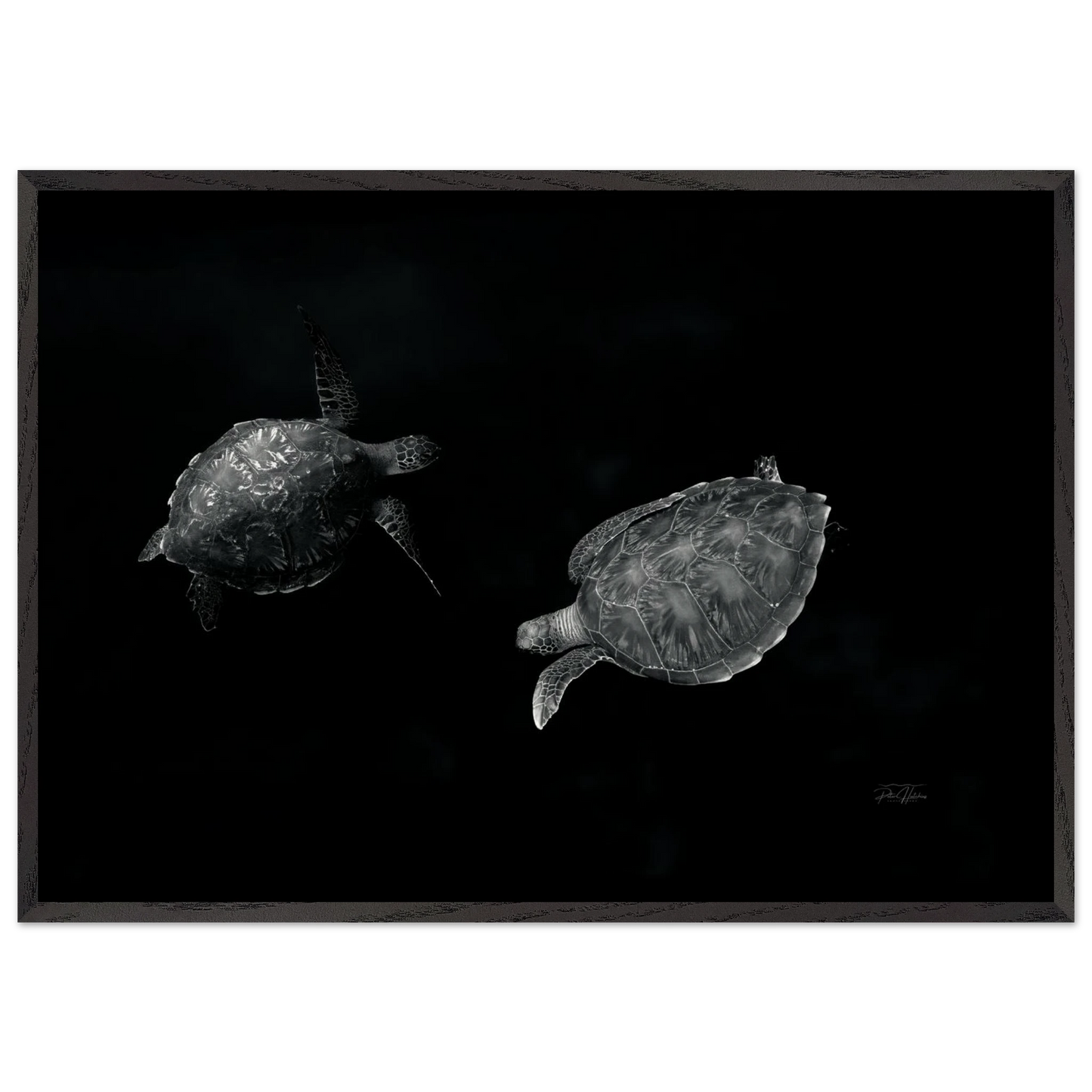 1a37eeee-244d-4577-86e6-a853709b9ed7