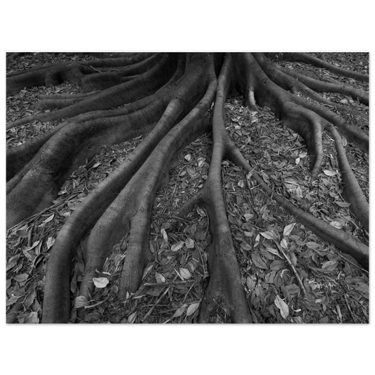 c164ca74-84a4-4602-831d-cc0e14a2c874