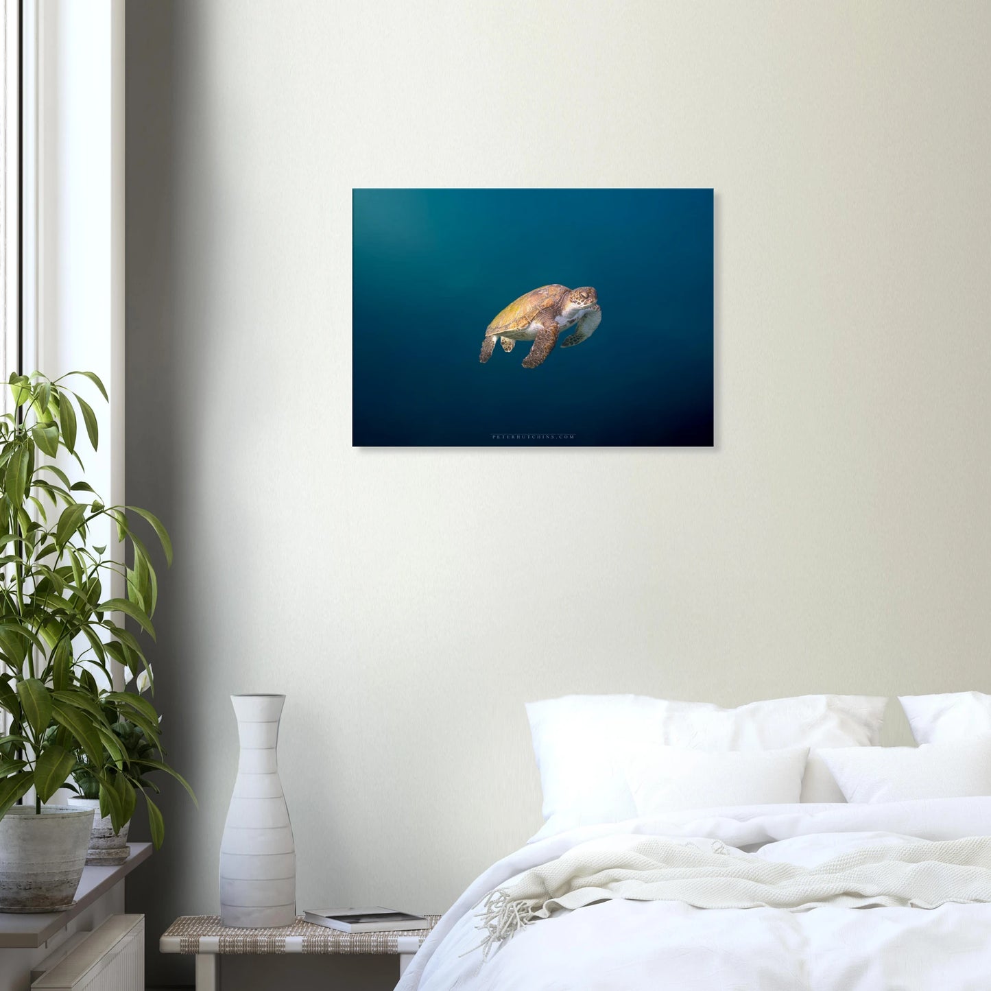 d29835ce-765d-4621-af3f-e4a0d54d202c