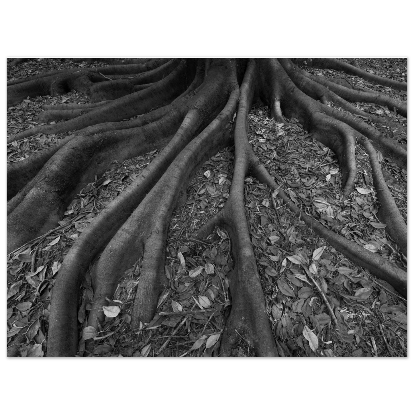 11e718a1-21b3-46a5-bf0d-57c8d45cf527