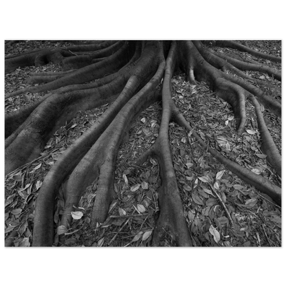 11e718a1-21b3-46a5-bf0d-57c8d45cf527