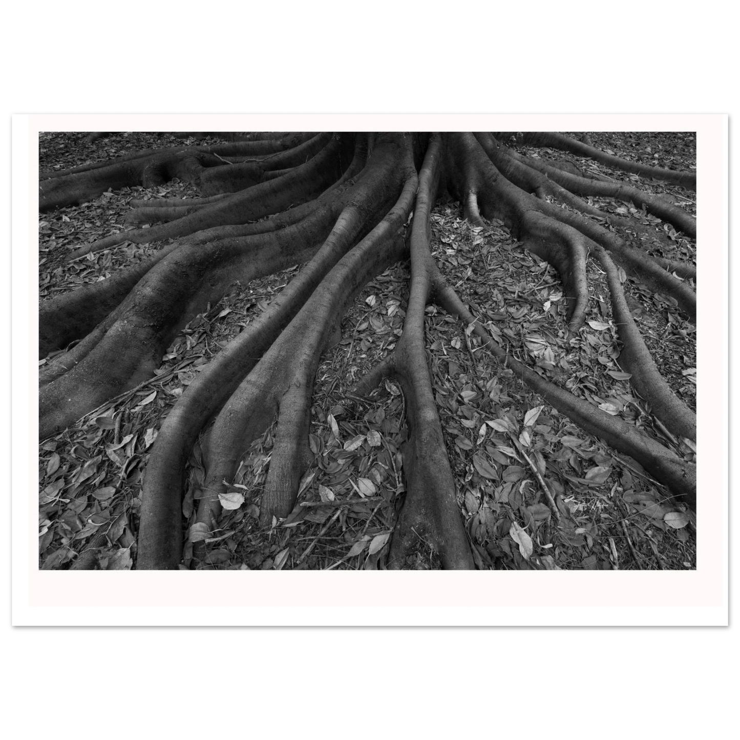 179096ab-20f2-4617-9883-95a329bde11e