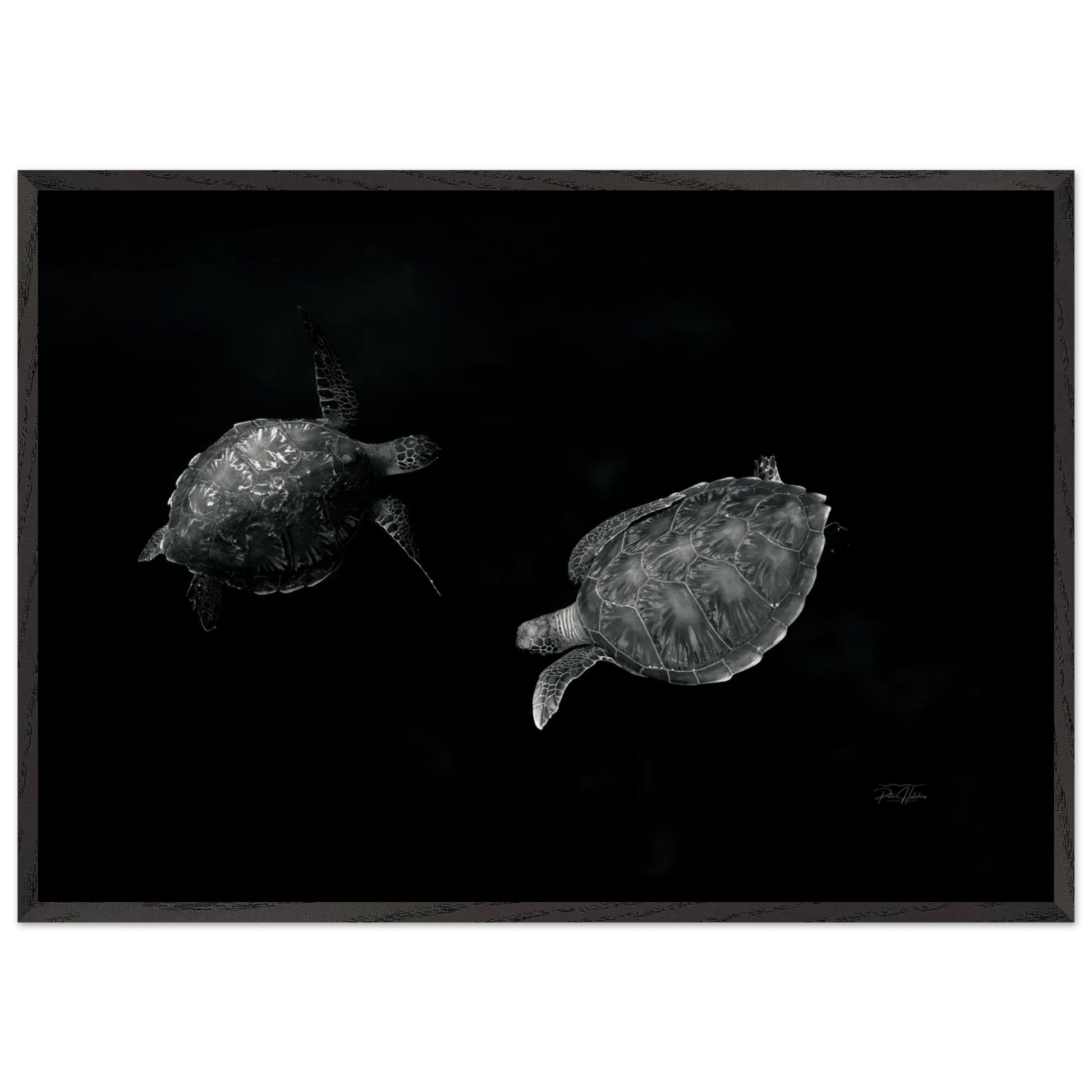 1a37eeee-244d-4577-86e6-a853709b9ed7