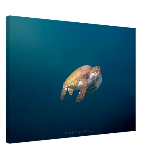 20873b38-4831-4ab8-80f9-28f8674af02c