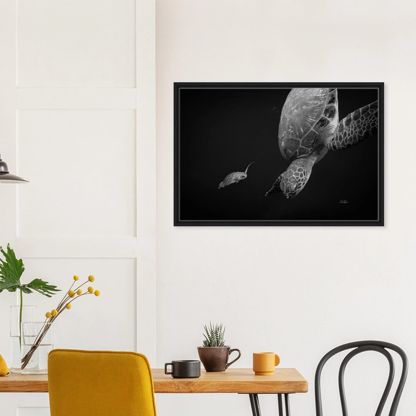 21affe50-6457-48ad-ba10-94b555ad0216