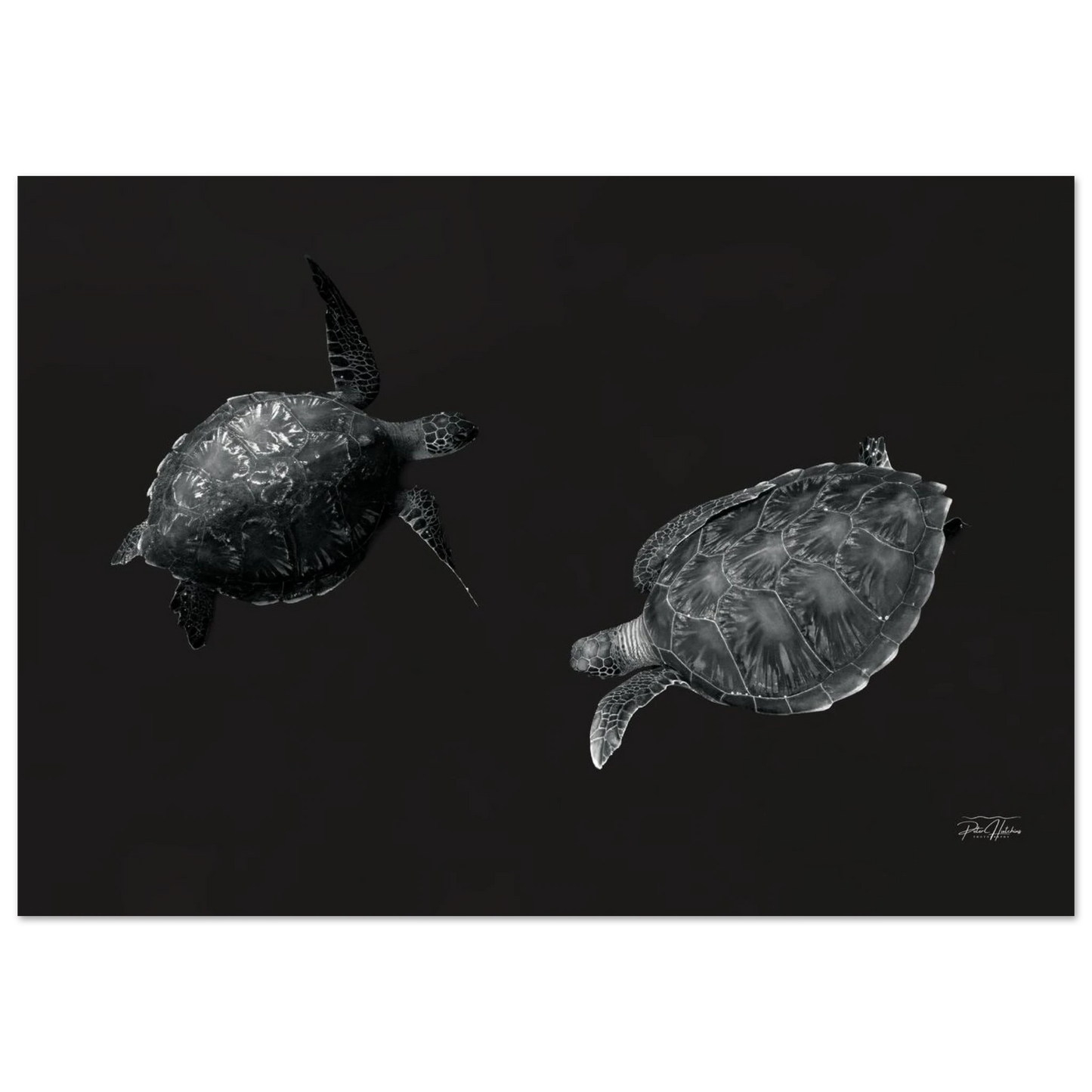 286f1c49-38d8-40ef-8938-66f03053b750