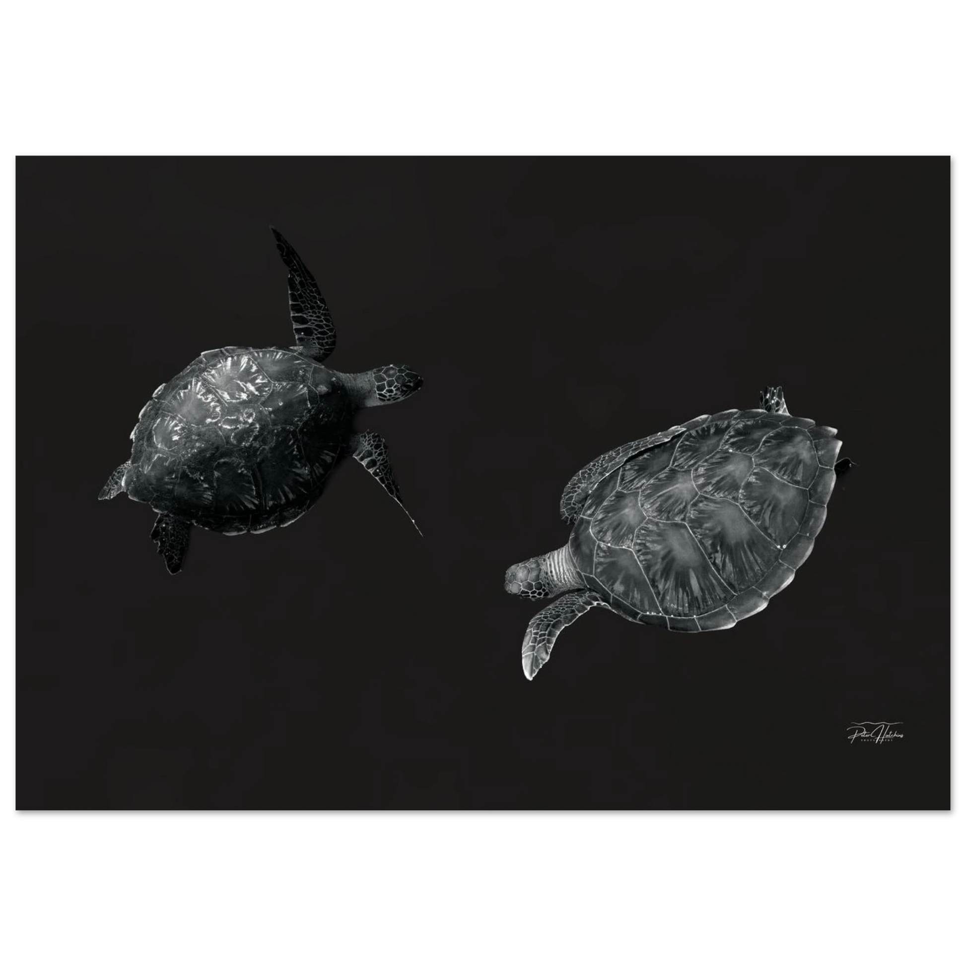 286f1c49-38d8-40ef-8938-66f03053b750