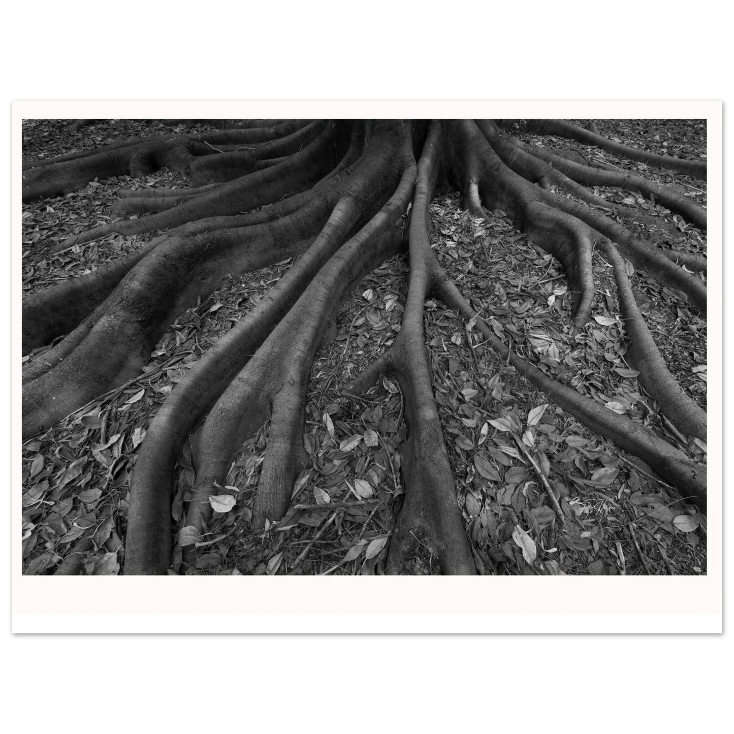 2d42ddf8-6e74-48bf-9987-f884483fc316