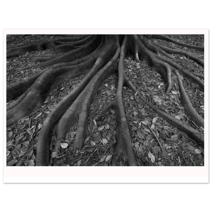 2d42ddf8-6e74-48bf-9987-f884483fc316