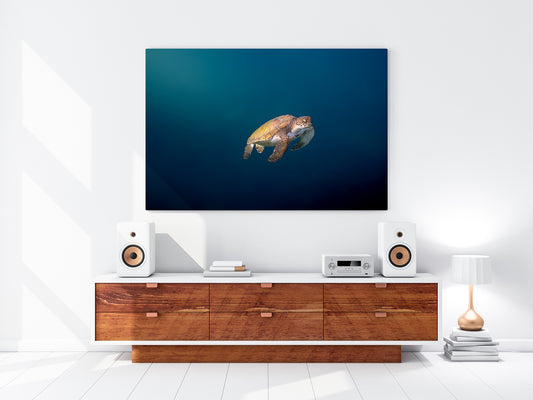 3432ecf6-2f70-48bc-9e8b-fb0b0a8c17a9