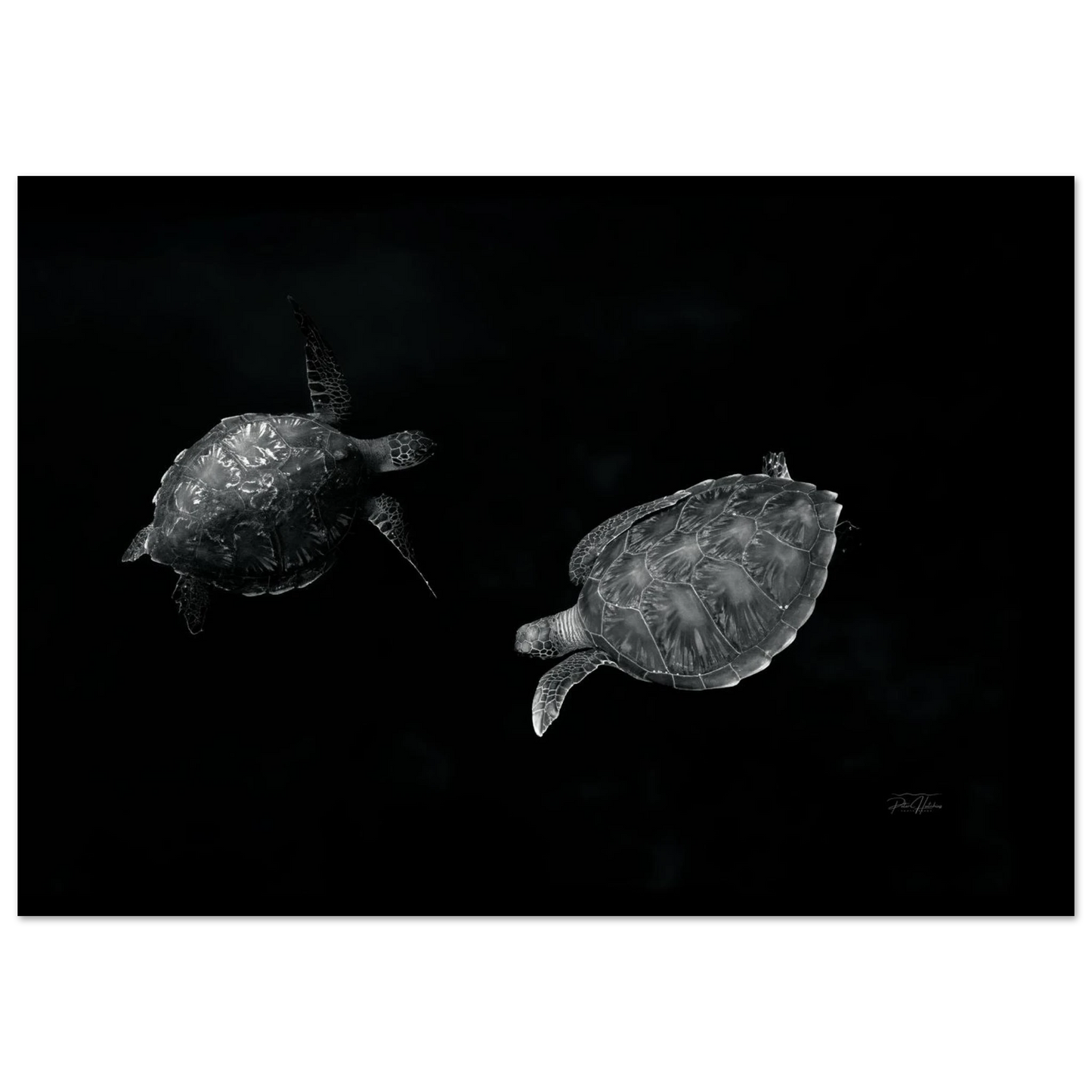 4a70701a-347b-4839-ad86-90ecde957fc1