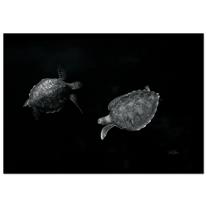 4a70701a-347b-4839-ad86-90ecde957fc1