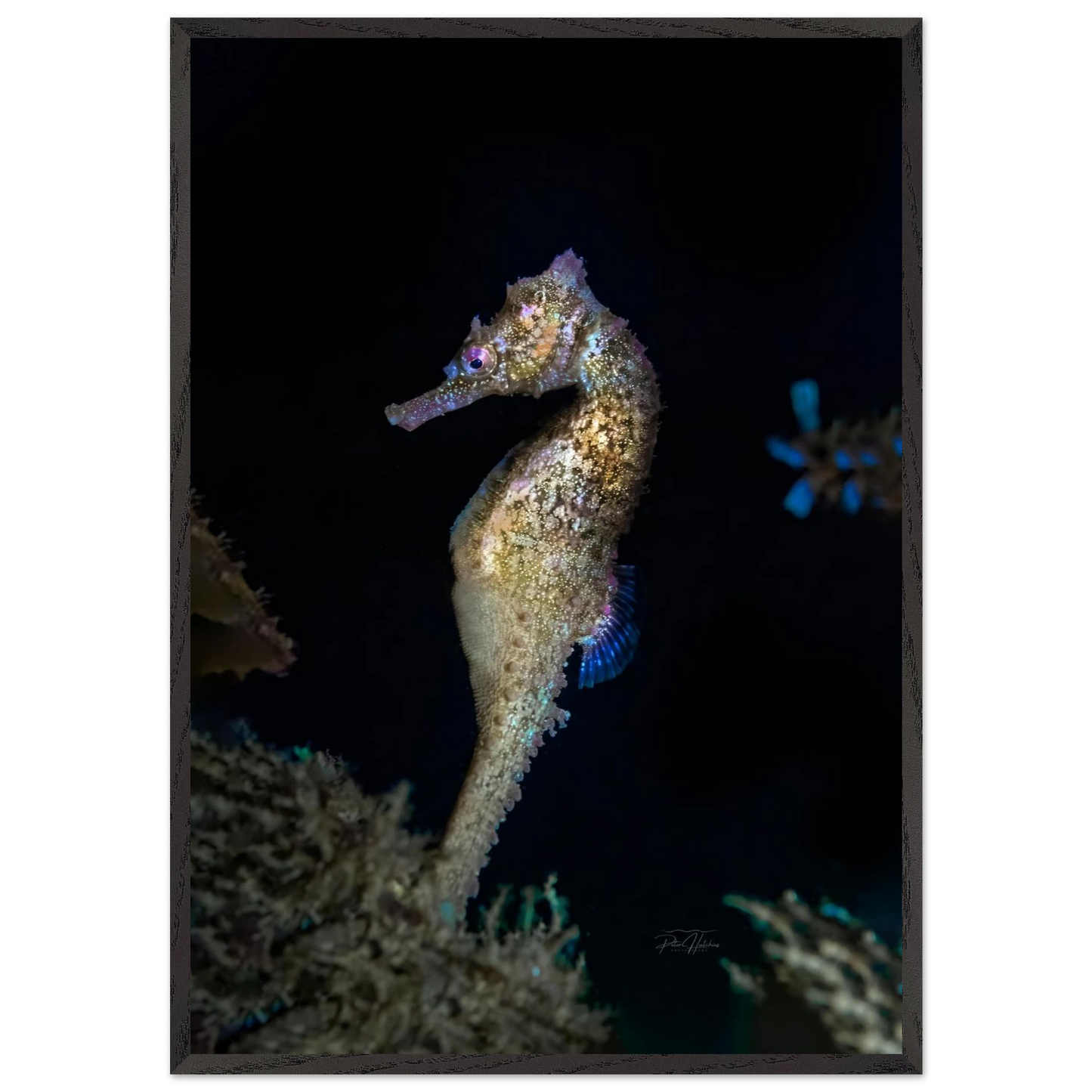 4bcc5402-cccc-4168-8fe5-d132402adff1