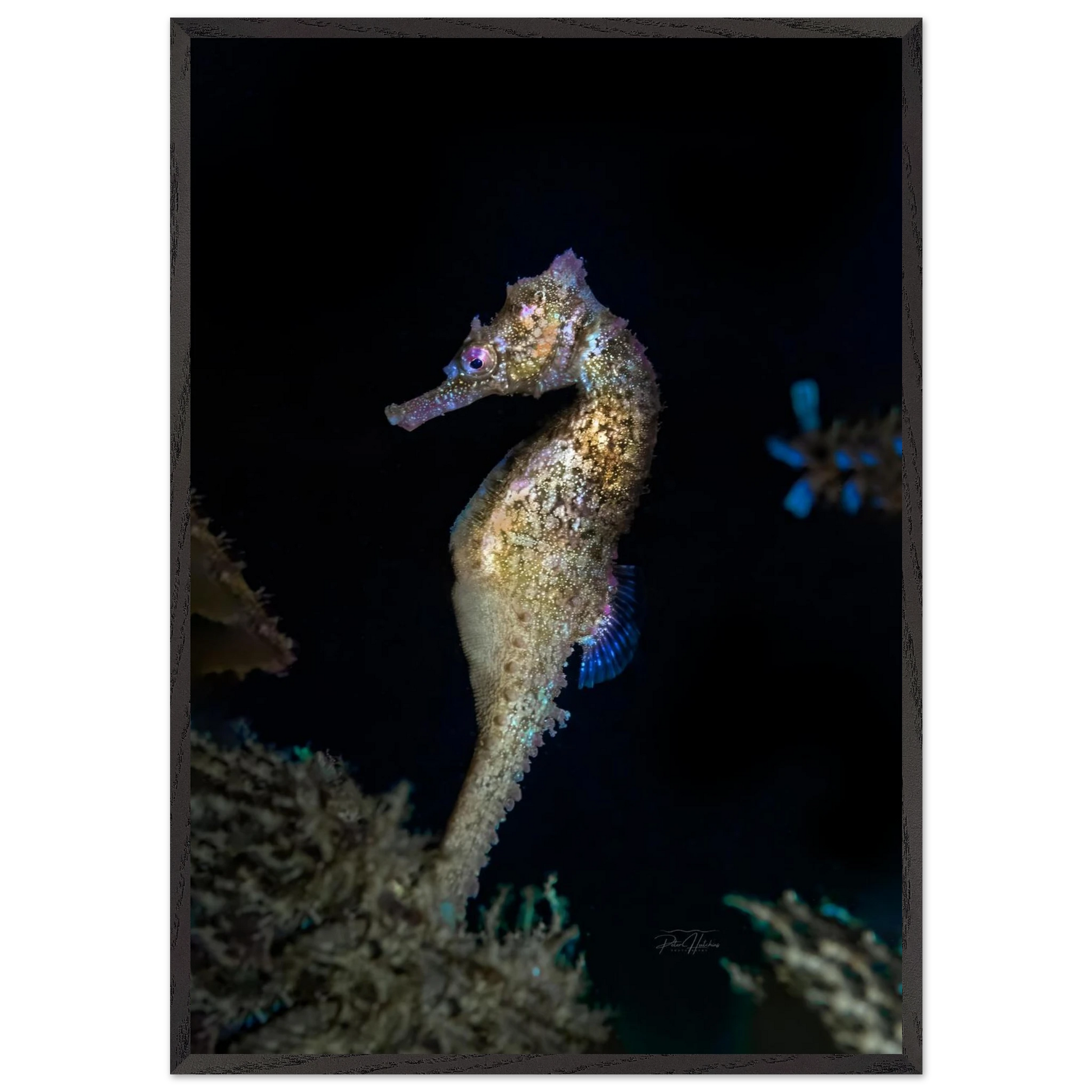 4bcc5402-cccc-4168-8fe5-d132402adff1