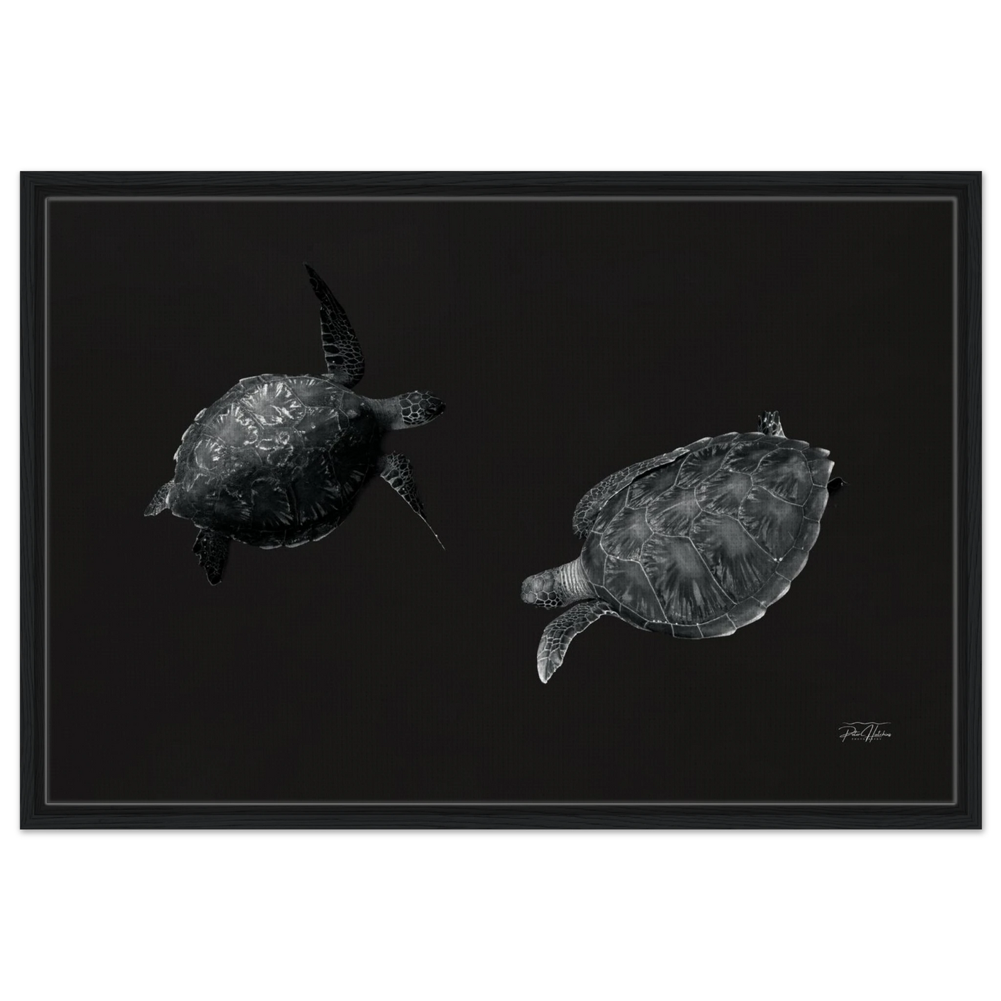 4e28f60a-a373-4927-822c-4289536564e5