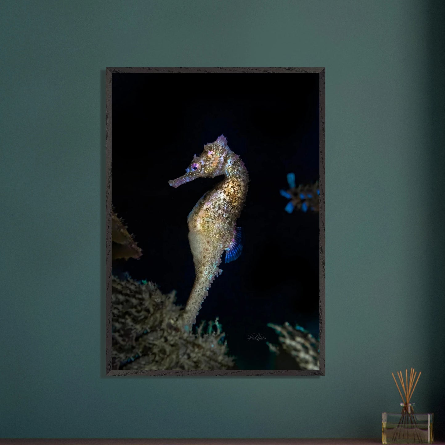 6a7dd565-2804-464b-9925-1a113f66e6a8