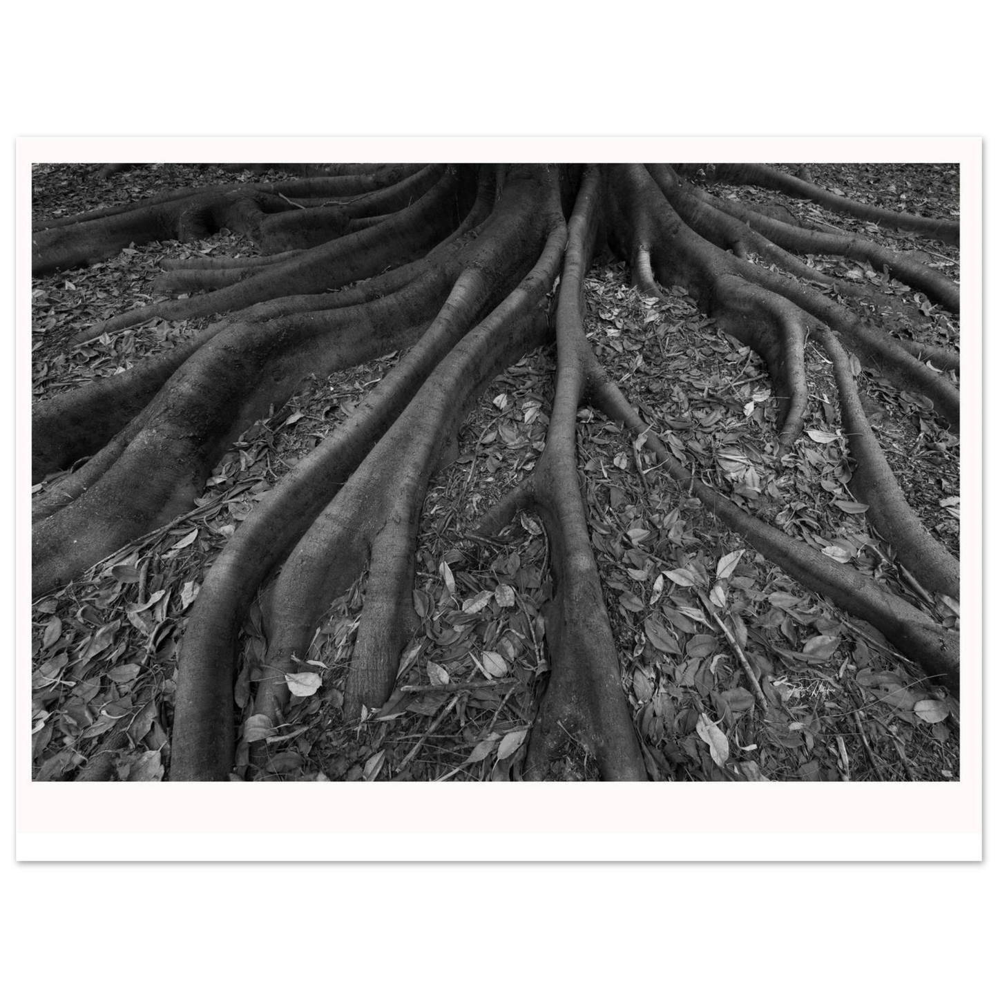 6d3b9595-7cd4-4252-920f-6027555982d4