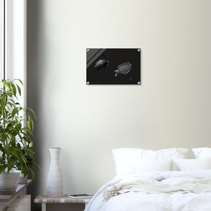 6f288737-bb20-417a-9a5c-9559248fe508