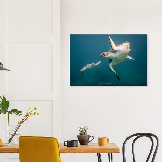 7fc9bb39-935b-42e9-8511-1c2f78e5377d