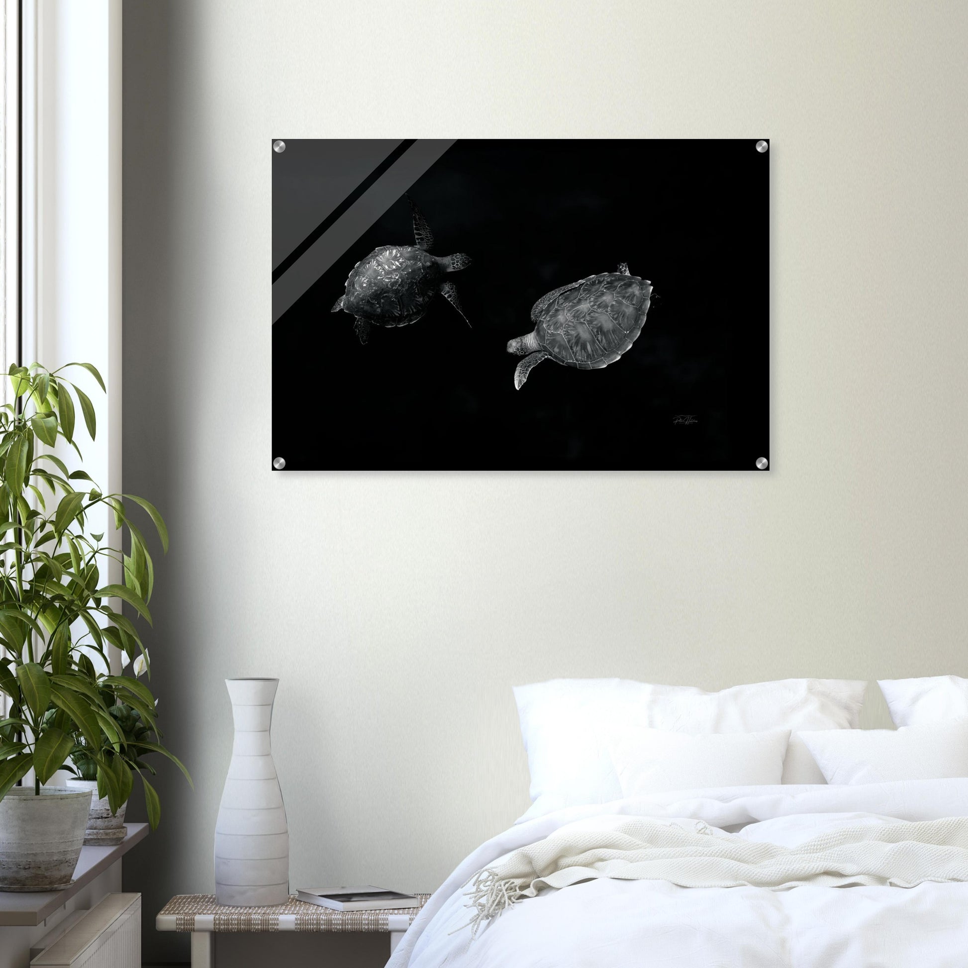 83a18ab5-0093-48bd-b012-aeb45cc8842a