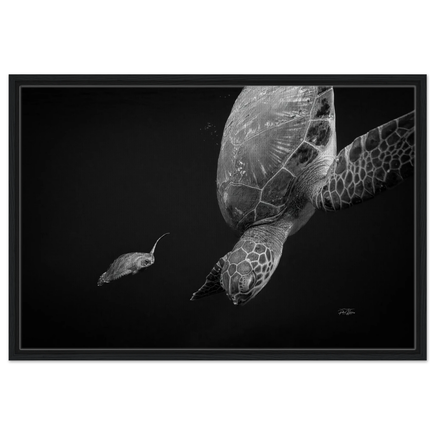 8751529a-6827-4b12-b29f-eb9a6114ca94