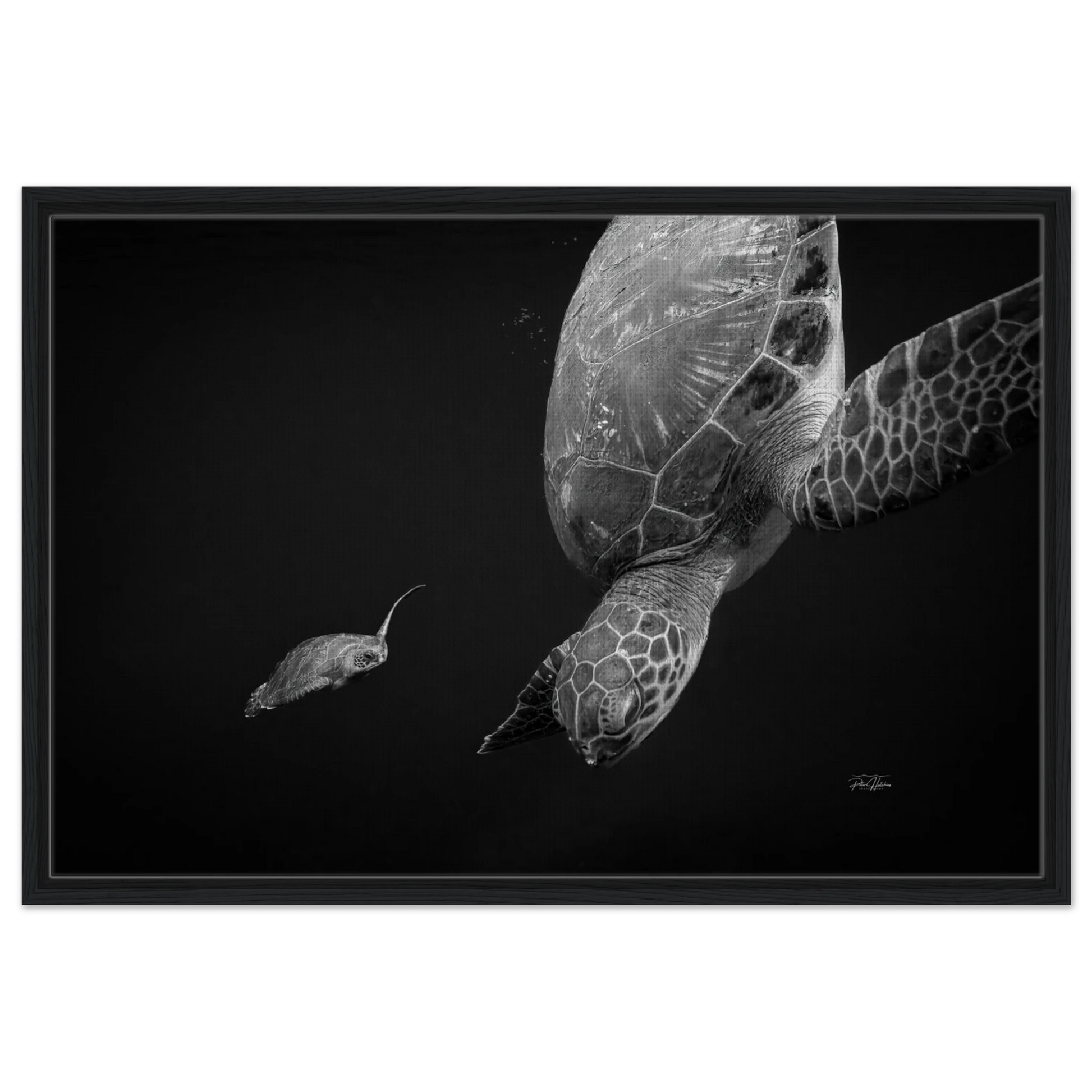 8751529a-6827-4b12-b29f-eb9a6114ca94