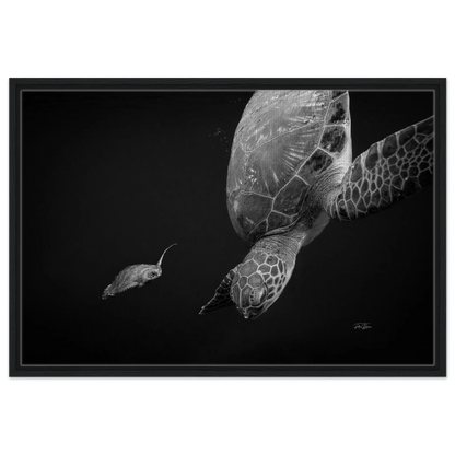 8751529a-6827-4b12-b29f-eb9a6114ca94