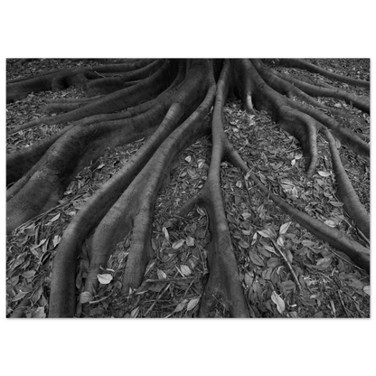 8c1cafc3-48b4-469c-a59a-af46954b9362