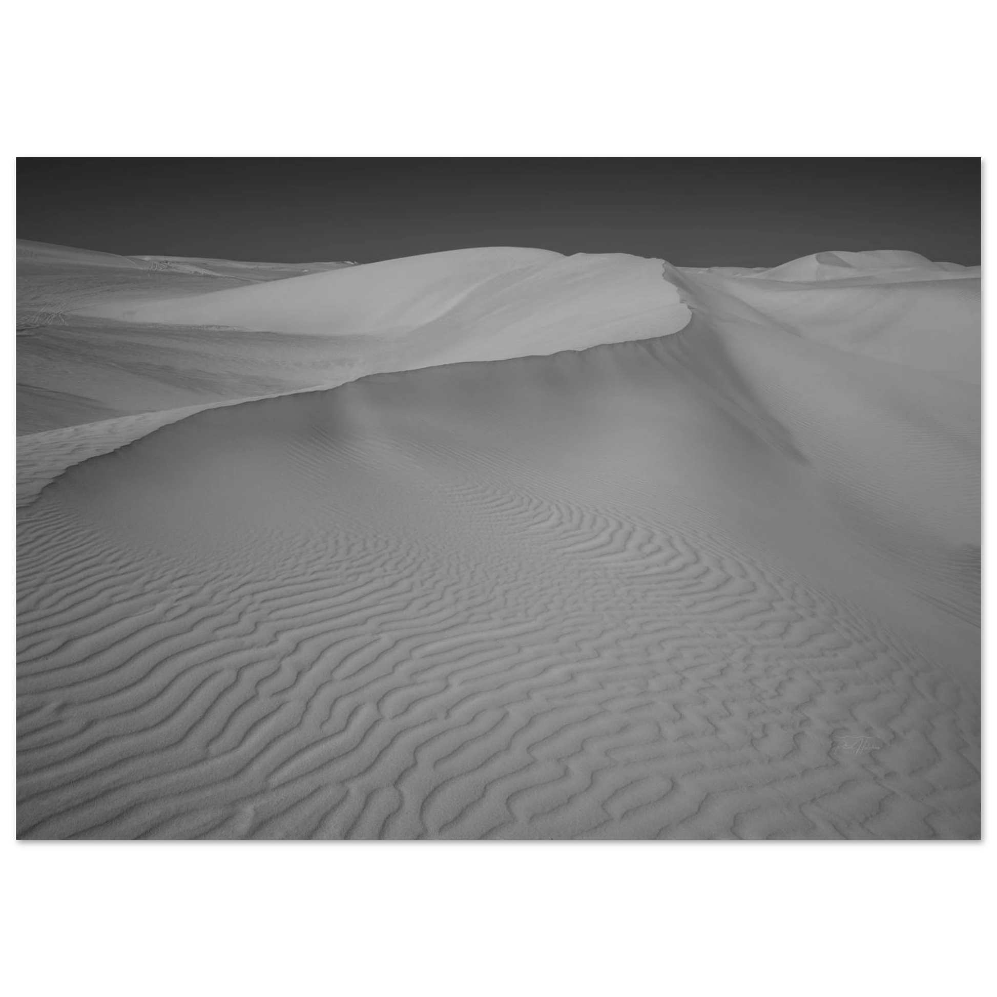 95e564d5-4d8c-4b33-8165-46bdeb1e3580