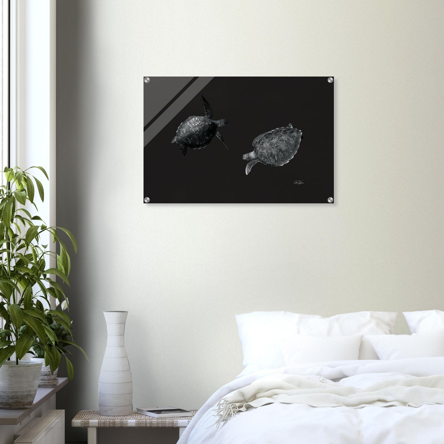 b403b4e6-9cb3-472e-a6d5-b00d526d842c