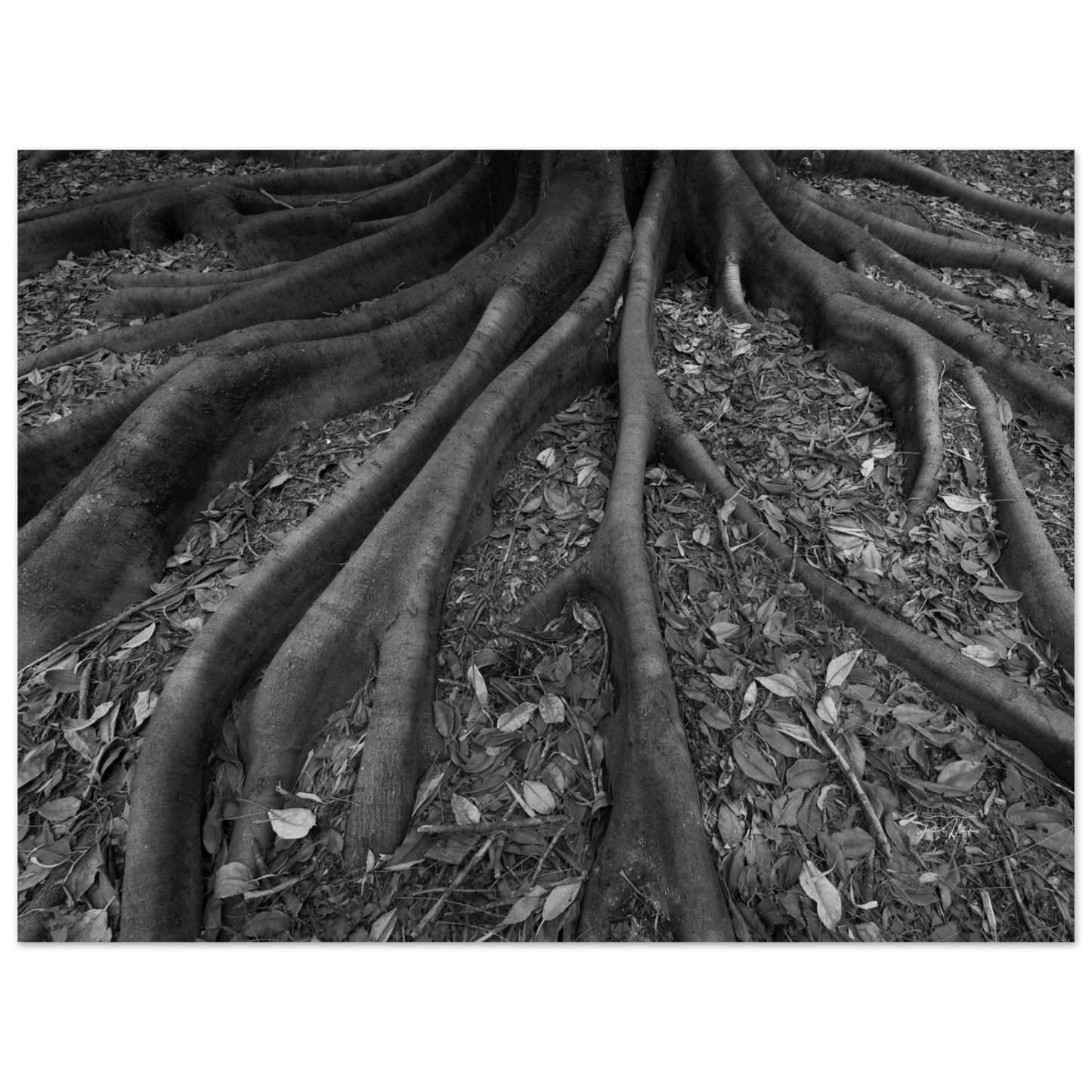 b754137f-40f4-4fc0-963b-d3fcc067cc8c