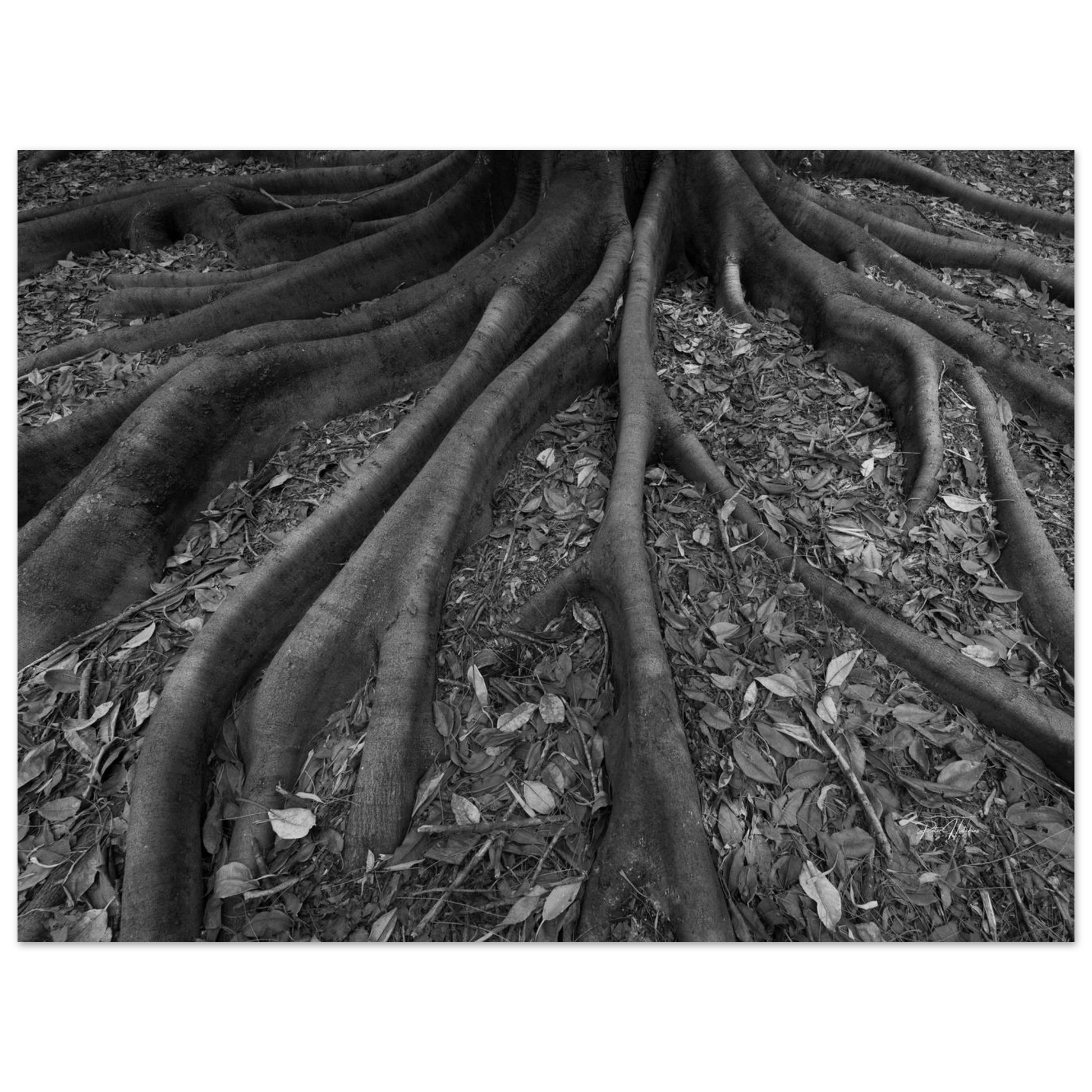 b754137f-40f4-4fc0-963b-d3fcc067cc8c