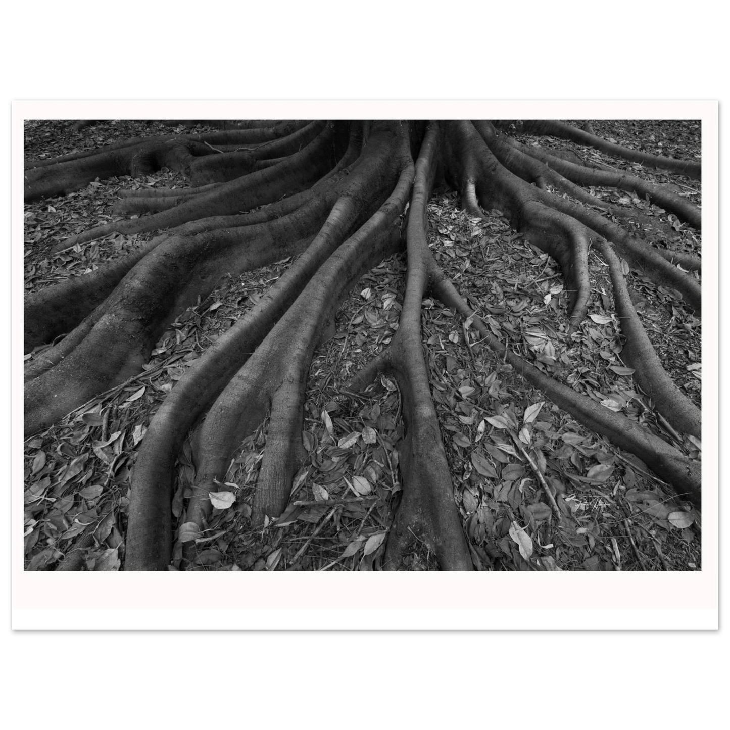 d78fbb34-9842-4685-8cbb-2fed165085ef